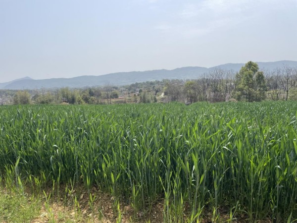 澧縣土地資源,澧縣公共基礎(chǔ)設(shè)施,澧縣工商業(yè)信息咨詢,澧縣澧州實(shí)業(yè)發(fā)展有限公司